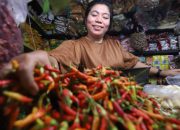 Pasokan Melimpah, Harga Cabai di Kediri Turun Hingga Rp13 Ribu per Kilogram