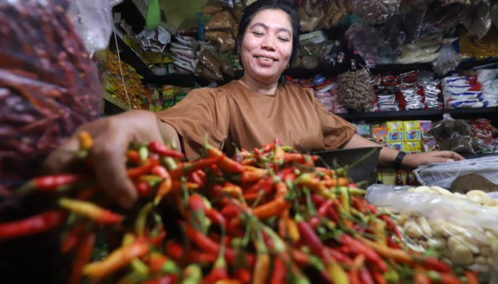 Pasokan Melimpah, Harga Cabai di Kediri Turun Hingga Rp13 Ribu per Kilogram
