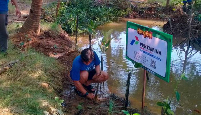 Pertamina: Konservasi Mangrove dan Tukik, Dukung Eco Tourism Village Kili-Kili