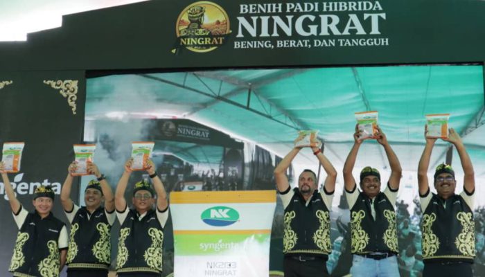 Syngenta Luncurkan Benih Padi Hibrida Ningrat NK2133 Dukung Swasembada Beras