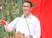 Mentan Pastikan Tak Ada Kelangkaan Beras, Distribusi Alami Pergeseran