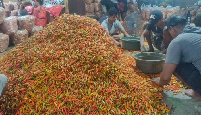Harga Cabai di Kediri Mulai Melandai, CMK dan CRM Kompak Turun