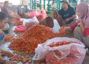 Harga Cabai Rawit Merah di Pasar Induk Pare Naik Rp2.000, Cabai Merah Besar Justru Turun