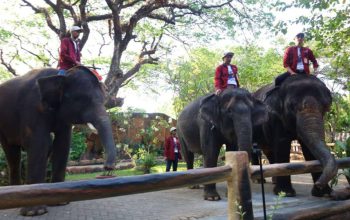 Pemkot Surabaya Jamin Seleksi Dirut KBS Berlangsung Objektif dan Transparan
