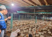 Tarif Listrik Awal 2026 Tetap, Pemerintah Jaga Daya Beli Masyarakat