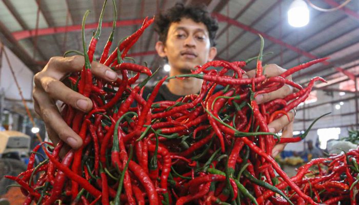 Harga Cabai Rawit di Kediri Tembus Rp95.000/Kg di Awal Ramadan