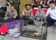 Perdagangan Satwa Dilindungi Dibongkar Polisi, Satu Tersangka Ditangkap di Sidoarjo