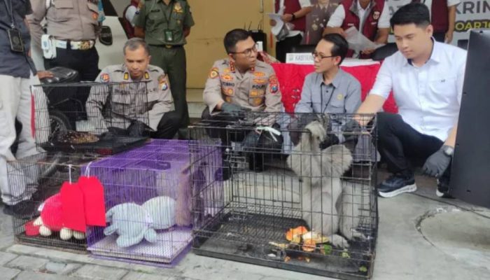 Perdagangan Satwa Dilindungi Dibongkar Polisi, Satu Tersangka Ditangkap di Sidoarjo