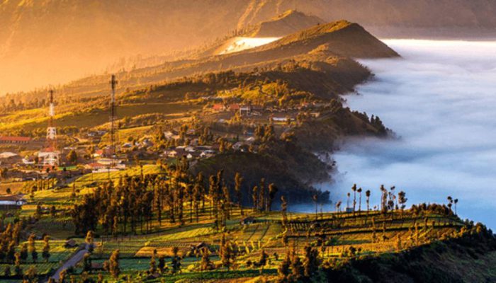 Balai Besar TNBTS Siapkan Skema Antisipasi Lonjakan Kunjungan Wisatawan