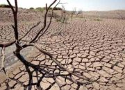 BMKG: Musim Kemarau 2026 Datang Lebih Awal, Waspadai Potensi Cuaca Ekstrem dan Kekeringan