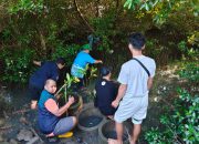 Hijaukan Pesisir Surabaya, PT Terminal Petikemas Surabaya Salurkan 3.000 Bibit Mangrove di Sontoh Laut