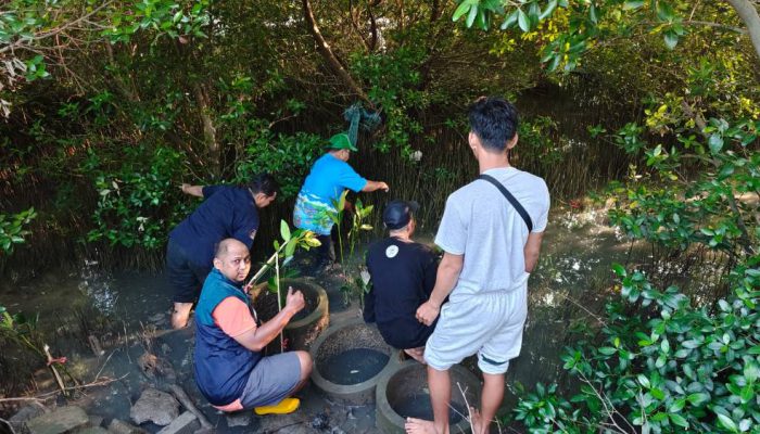 Hijaukan Pesisir Surabaya, PT Terminal Petikemas Surabaya Salurkan 3.000 Bibit Mangrove di Sontoh Laut