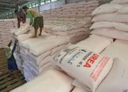 Pupuk Urea RI Diminati Australia, Nilai Kerja Sama Capai Rp7 Triliun