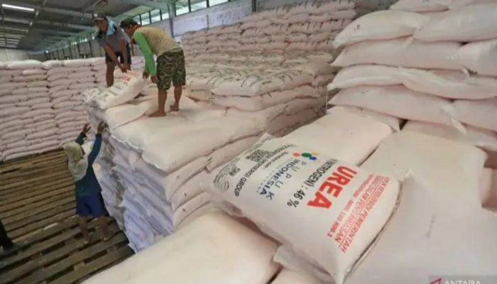Pupuk Urea RI Diminati Australia, Nilai Kerja Sama Capai Rp7 Triliun