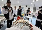 BPJS Kesehatan: JKN Aktif Jadi Bekal Penting Jemaah Haji ke Tanah Suci