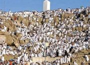 Jemaah Haji Indonesia Mulai Bergerak ke Arafah, Pemerintah Pastikan Proses Berjalan Lancar