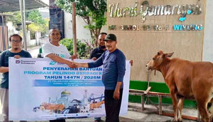 Iduladha 2026, PT Terminal Teluk Lamong Bagikan Puluhan Hewan Kurban untuk Masyarakat