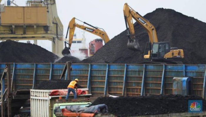 SPK TKBM pada Aktivitas STS Transfer Batu Bara di Satui Tuai Sorotan