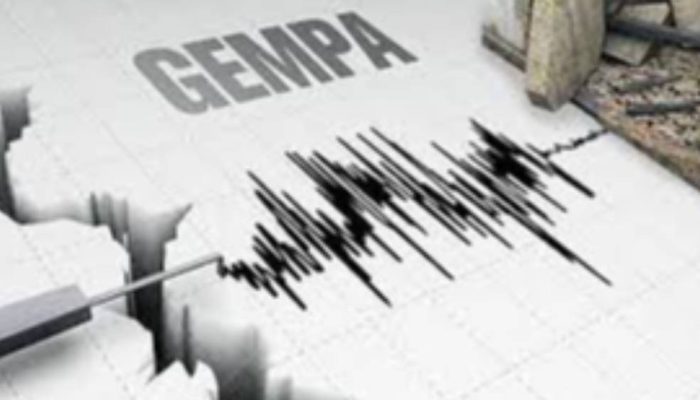 Gempa M 2,9 Guncang Pacitan, BMKG: Data Masih Bersifat Sementara
