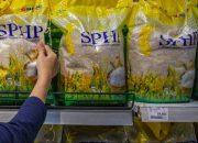 Pemerintah Percepat Penyaluran Beras SPHP Antisipasi El Nino Ekstrem, Stok CPP Tembus 5 Juta Ton
