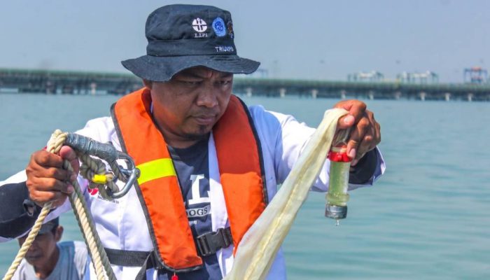 TTL Gandeng BRIN Petakan Biota Laut Teluk Lamong, Perkuat Pengelolaan Lingkungan Berbasis Sains