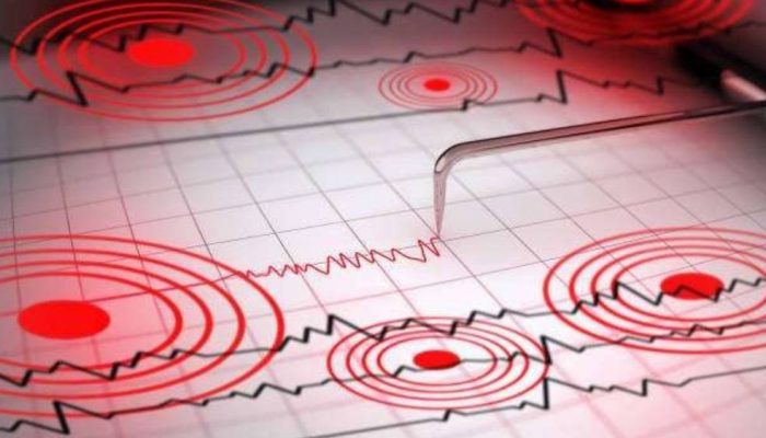 Gempa Magnitudo 2,5 Guncang Pacitan, BMKG Pastikan Tidak Berpotensi Tsunami