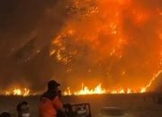 Kebakaran Bromo Belum Padam, TNBTS Hentikan Seluruh Aktivitas Wisata
