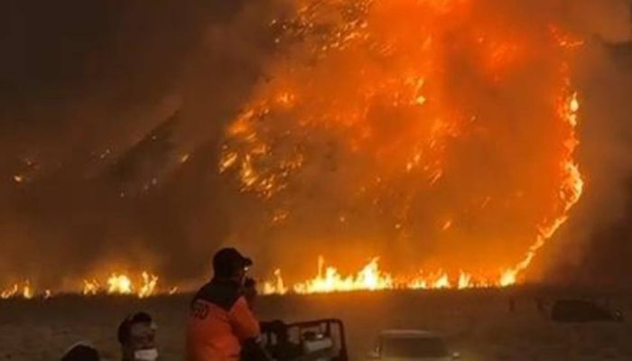 Kebakaran Bromo Belum Padam, TNBTS Hentikan Seluruh Aktivitas Wisata
