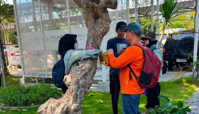 Riset Ekologis TTL-BRIN, Langkah Strategis Perkuat Biodiversitas Pesisir