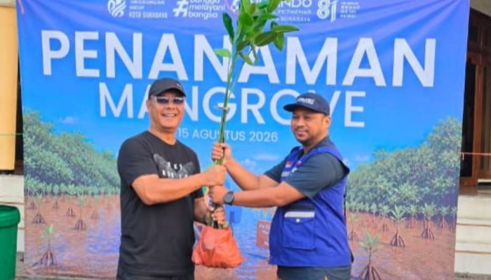 TPS Serahkan 3.000 Bibit Mangrove ke DLH Surabaya, Ditanam di Tambak Sarioso