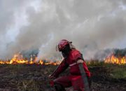 Bukan Sekadar Titik Api, Kemenhut Telusuri Modus dan Aktor di Balik Karhutla