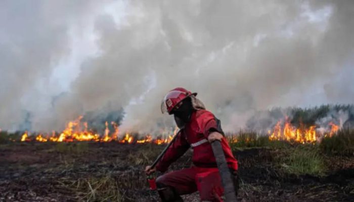 Bukan Sekadar Titik Api, Kemenhut Telusuri Modus dan Aktor di Balik Karhutla