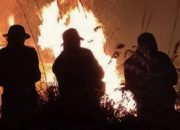 Masuki Puncak Kemarau, 4 Kecamatan Banyuwangi Rawan Karhutla
