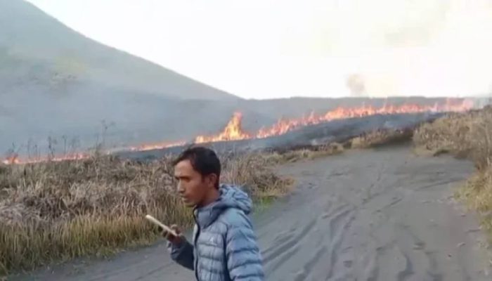Kebakaran Kembali Terjadi di Bukit Watangan TNBTS