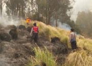 Kebakaran Gunung Bromo Diselidiki, Kementerian Kehutanan Bentuk Tim Khusus