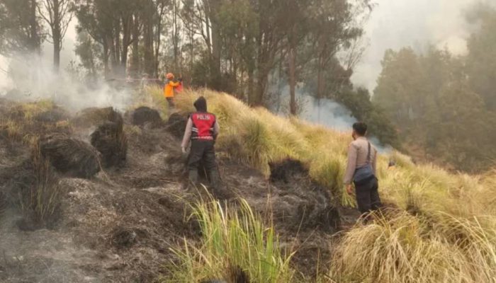 Kebakaran Gunung Bromo Diselidiki, Kementerian Kehutanan Bentuk Tim Khusus