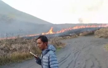 Angin Kencang Terjang Bromo, Kebakaran Hutan Meluas ke Bukit Teletubbies hingga Malang