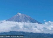 Semeru Erupsi Minggu Pagi, Kolom Abu Setinggi 700 Meter