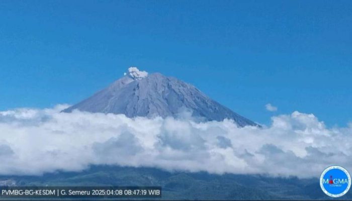 Semeru Erupsi Minggu Pagi, Kolom Abu Setinggi 700 Meter