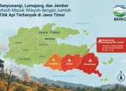Musim Kemarau, 3 Wilayah Tapal Kuda Masuk Lima Besar Hotspot Jawa Timur