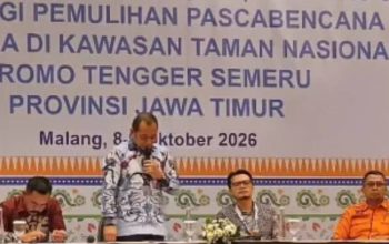 Cegah Karhutla Bromo, BPBD Jatim Pantau Titik Api melalui SiPongi