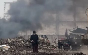 Pembakaran Sampah di Tambak Mayor Jadi Sorotan, DLH Surabaya Cek Status Lahan