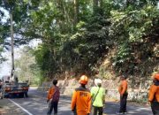 Jalan Gunung Gumitir Retak Sepanjang 30 Meter, BPBD Jember Bergerak Cepat
