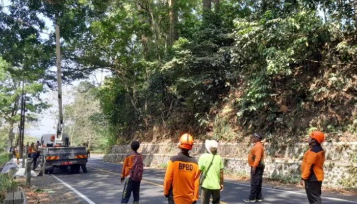 Jalan Gunung Gumitir Retak Sepanjang 30 Meter, BPBD Jember Bergerak Cepat