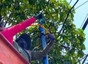 Tertibkan Kabel Ilegal, Pemkot Surabaya Bongkar 116 Tiang Utilitas di 23 Ruas Jalan
