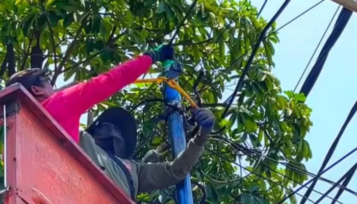 Tertibkan Kabel Ilegal, Pemkot Surabaya Bongkar 116 Tiang Utilitas di 23 Ruas Jalan