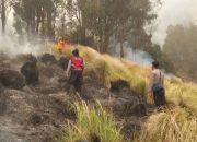 Kebakaran Hutan Jawa Timur Meluas, 79 Persen Area Terbakar di Kawasan Konservasi