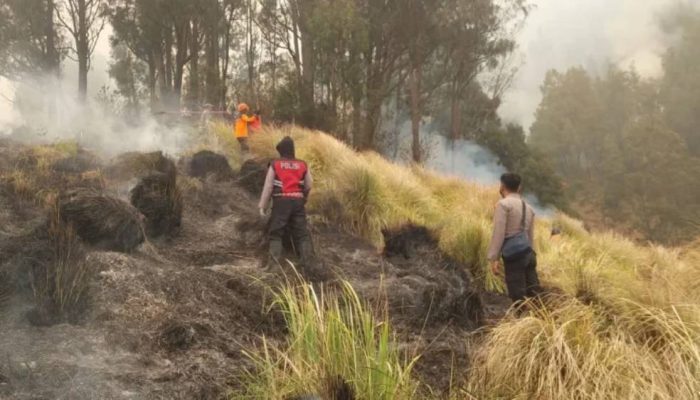 Kebakaran Hutan Jawa Timur Meluas, 79 Persen Area Terbakar di Kawasan Konservasi